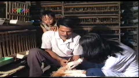 Kỹ thuật sử dụng Vacxin cho gia cầm - Trung tâm Thông tin Khoa học và Công nghệ Đà Nẵng