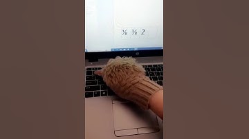 Fraction in eighths | #msword #learning #computer #windows #tricks