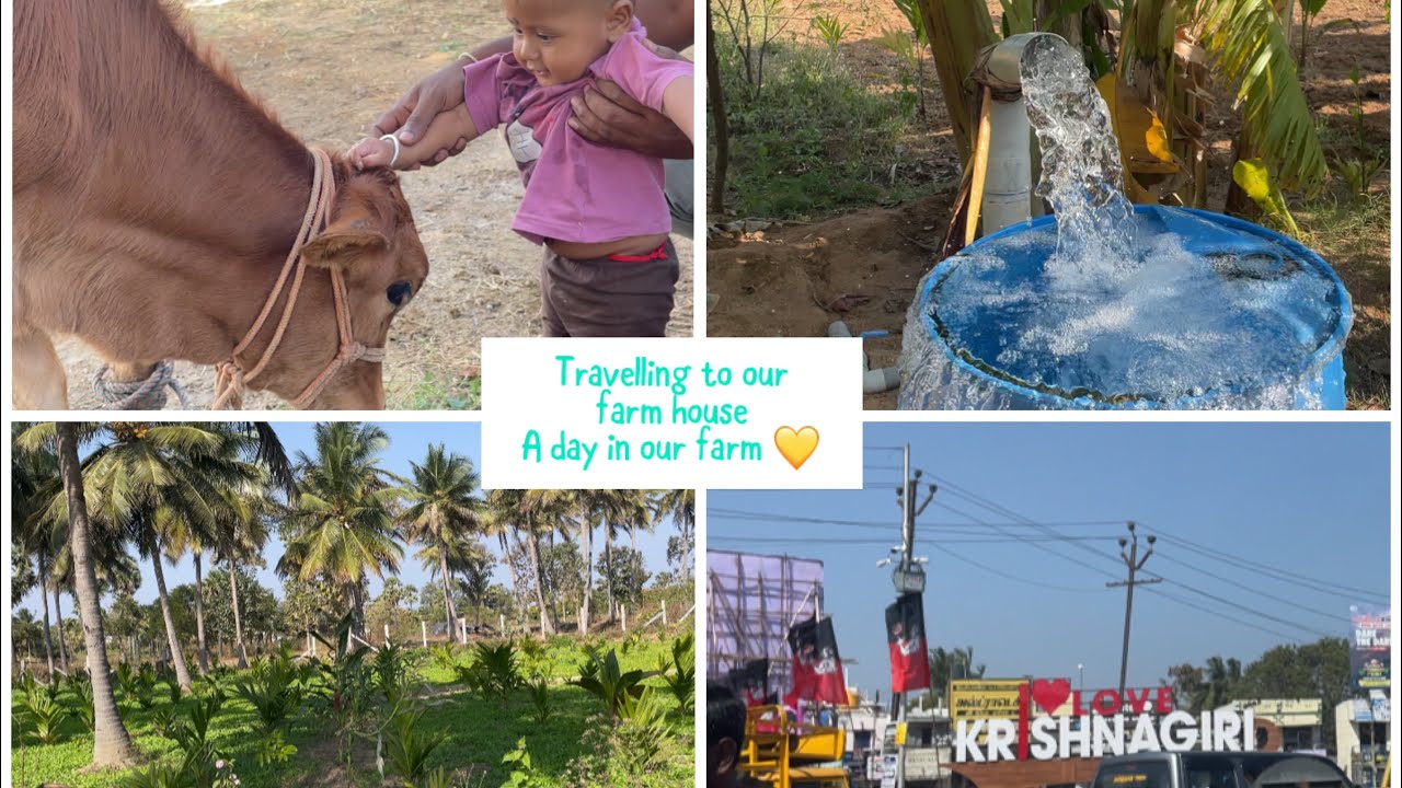 Travelling to our farm house| From city to village| Village life vlog 