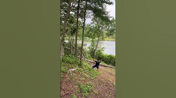 Zipline setup Part 4 follow for more setup/prep videos of the zipline.  #shorts @BackyardZipLines