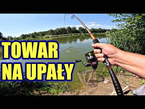 Towar który zawsze