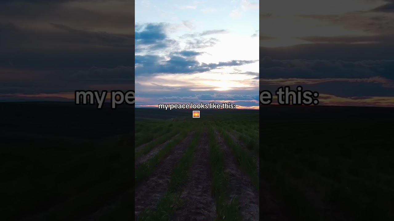 soft skies, quiet moments, and a heart at ease. 