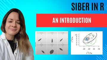 SIBER (R package): Introduction