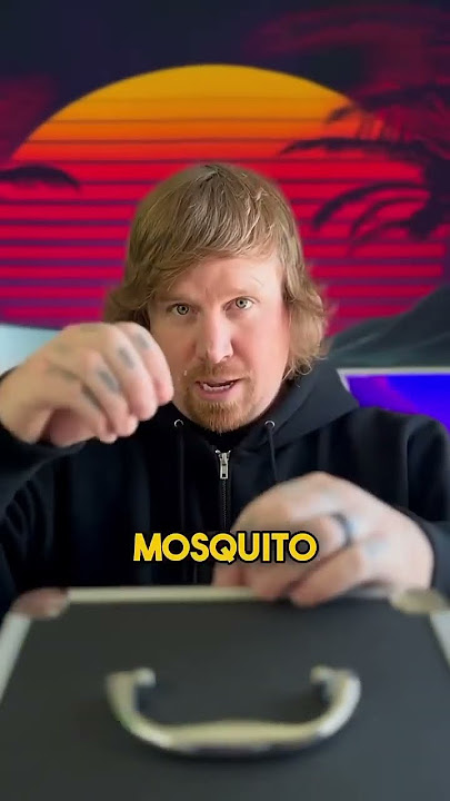 bobby pin mosquito