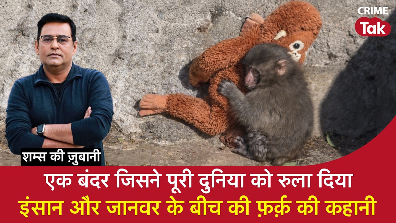 EP 2181: एक बंदर जिसने पूरी दुनिया को रुला दिया, इंसान और जानवर के बीच की फ़र्क़ की कहानी