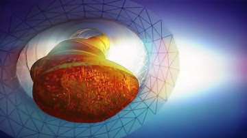 Intestinal Chyme Movement RealFlow Simulation Maxwell Test Render