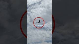 El Último Ser Misterioso Captado en Cámara… ¿Real o Ilusión? 😳