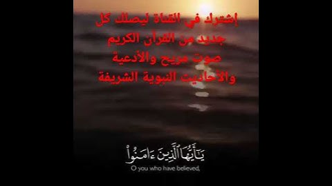 📜سورة الأحزاب الآية(56)📜