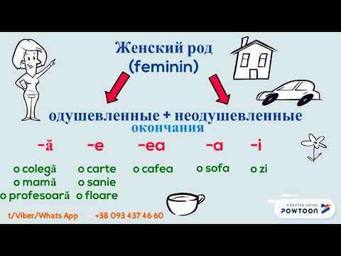 Румынский язык в картинках Урок 2 Роды