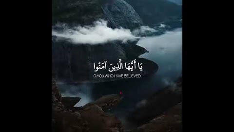 يا أيها الذين آمنوا اركعوا واسجدوا | تلاوات خاشعة | عبدالرحمن مسعد