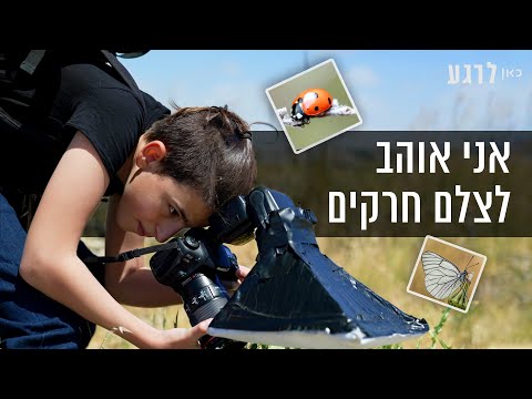 וִידֵאוֹ: מה הכוונה במונח מבט צילומי?