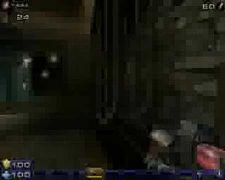 Random UT2004 gibbing