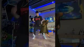 Robleis y la rata asciendo un dúo de baile