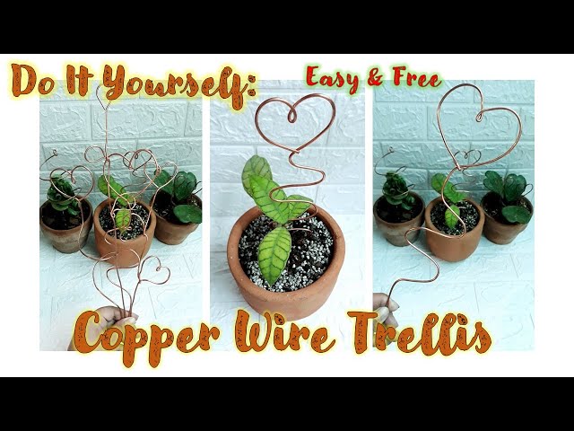 25 Copper Wire Plant Trellis by On Ya Garden ideas