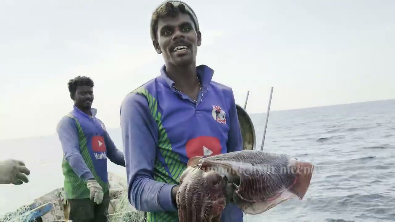 2 வது நாள் தங்கு கடல் கணவா மீன்கள் - mookkaiyur meenavan