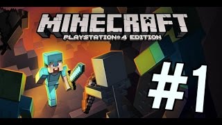 Minecraft Survival Part 1!! -Awesome Seed!- screenshot 4