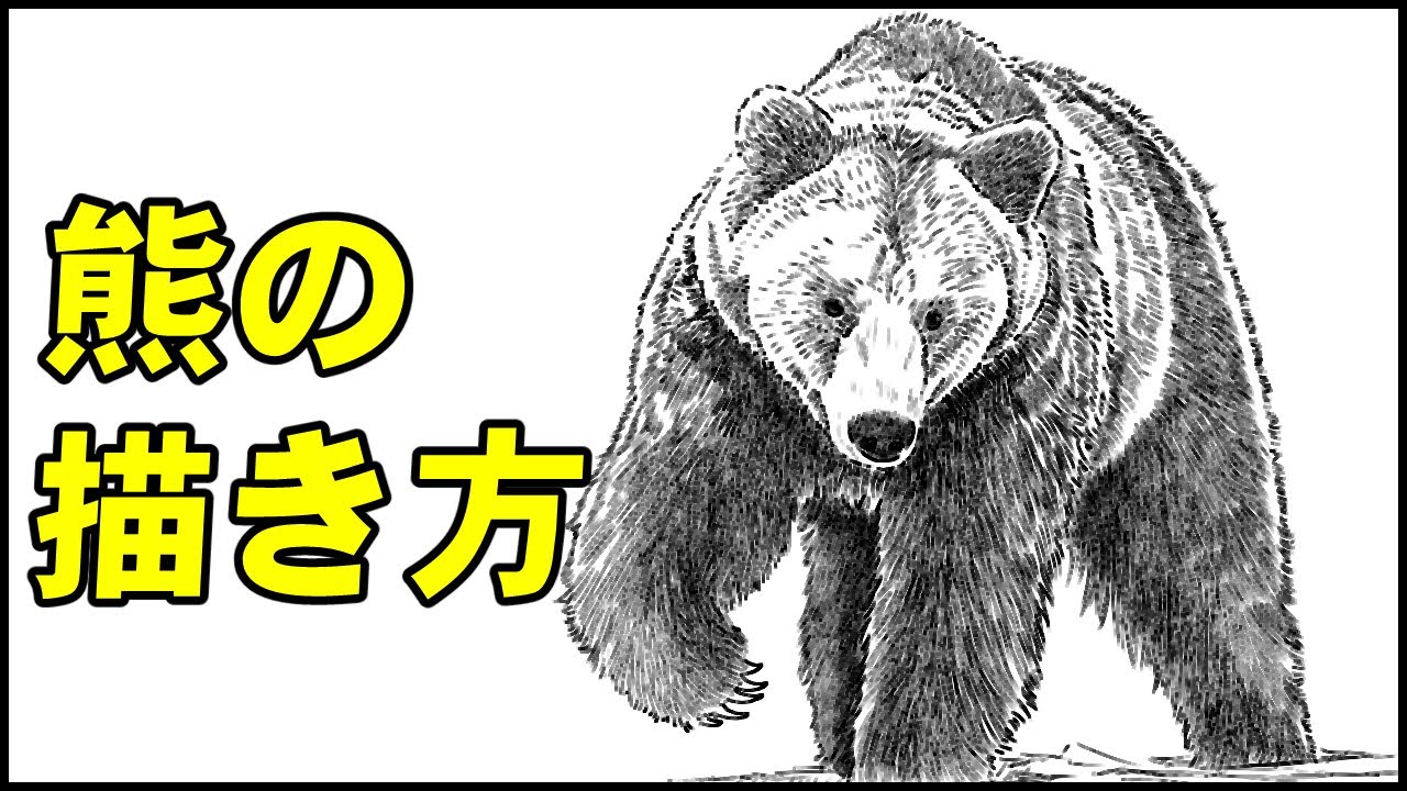 スリム 曲がった 恋人 ヒグマ鉛筆画 解釈する 頂点 下に向けます