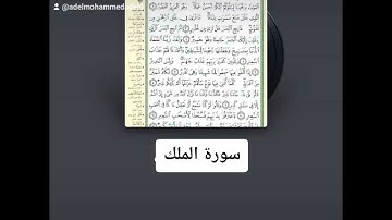 سورة الملك بصوت م/ محمد عادل @qurani-jannati@-mitghmrmedia21675 @سورةالملك-ذ7ف