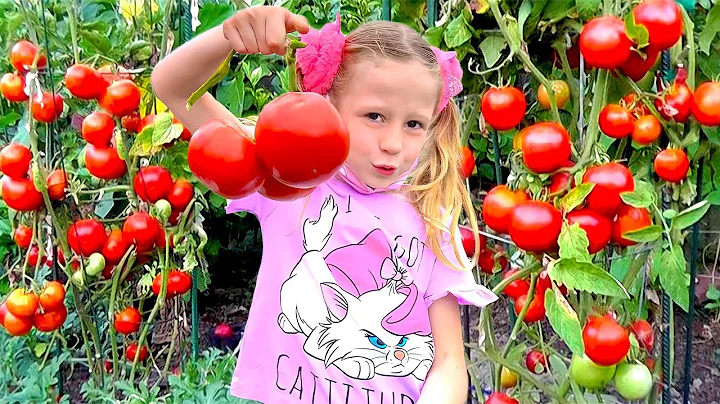 Nastya and dad pick vegetables and strawberries on the farm for mom - DayDayNews