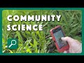 What is Community Science?