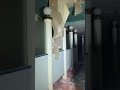 深夜の廃ラブホテル#shorts