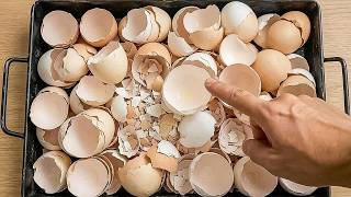 Throwing away Eggshells is a big mistake Billions of people don t know this secret