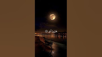 "آيات تشرح الصدر وتملأ القلب طمأنينة | تلاوة خاشعة من سورة طه"