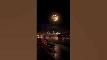 "آيات تشرح الصدر وتملأ القلب طمأنينة | تلاوة خاشعة من سورة طه"
