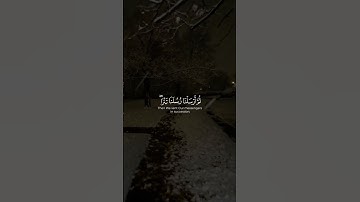 ثُمَّ أَرسَلنا رُسُلَنا تَترى | ياسر الدوسري | سورة المؤمنون