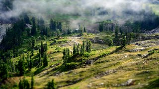 Soft Relaxing Music | Planet Earth screenshot 1