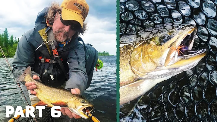 Fly Fishing LEE WULFF'S Royal Wulff in LABRADOR | ...