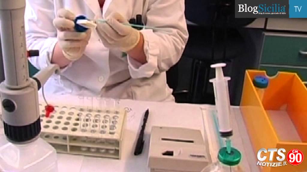 No del Tar all'accorpamento dei laboratori di analisi