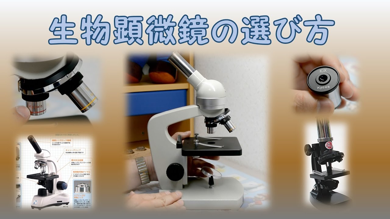 夏休み5年生の自由研究におすすめ！顕微鏡を使った理科実験3選 