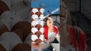 humor lifeisbutadream storytime haveitoldyoulatelythatiloveyou funny