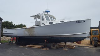 36 Northern Bay Merlin Reincarnation