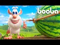 Booba 🍉 La Sandía 🍉 Dibujos Animados Divertidos para Niños