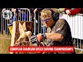 European Chainsaw Speed Carving Championships