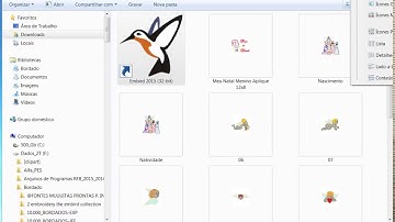 Como visualizar as matrizes de bordado, usando o Embird.