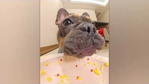 That Was Really Filmed On Camera