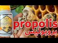 Propolis          