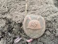 Коп по войне.Боевое поле,гнутые награды!!!World War II relics !!!