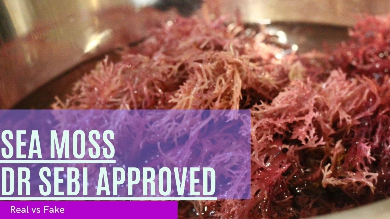 HOW TO MAKE SEA MOSS GEL || DR SEBI APPROVED || YAGA LIFESTYLE
