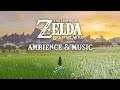 A Rainy Day In Central Hyrule Zelda Ambience Optional Music A Rainy Day In Central Hyrule Zelda Ambience Optional Music