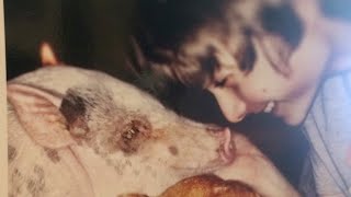 So My Pig Died