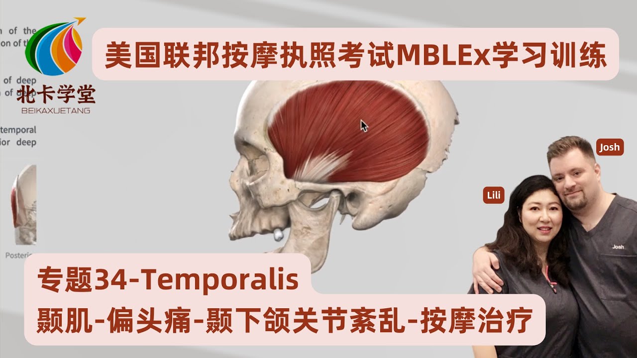 【联邦按摩考试】按摩治疗/专题34-颞肌Temporal muscle/偏头痛/颞下颌关节功能紊乱/障碍【北卡学堂—MBLEx美国按摩治疗师 ...