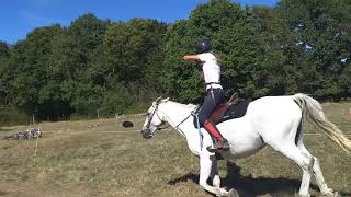 Training Hunt track with Wojtek Osiecki from Poland in Gauchoux, France