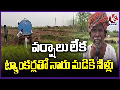 Mahabubabad Farmers in Trouble | Tankers Bring Water to Fields Amid No Rains | V6 News - V6NEWSTELUGU