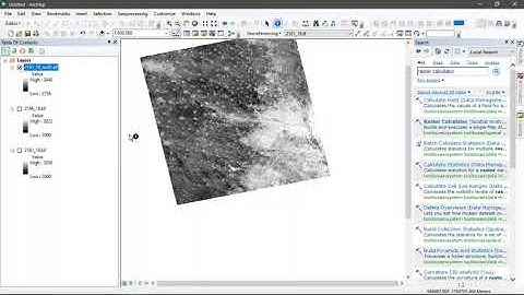 How to remove raster null value using Arc GIS 10.4 || Quick and Easy Trick || Must Watch