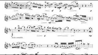 Mozart Violin Concerto n.3 in G, MVT2 FULL PLAYALONG ACCOMPANIMENT