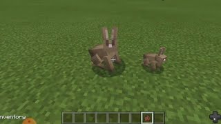 How to get a BIG BUNNY in Minecraft! lol #shorts